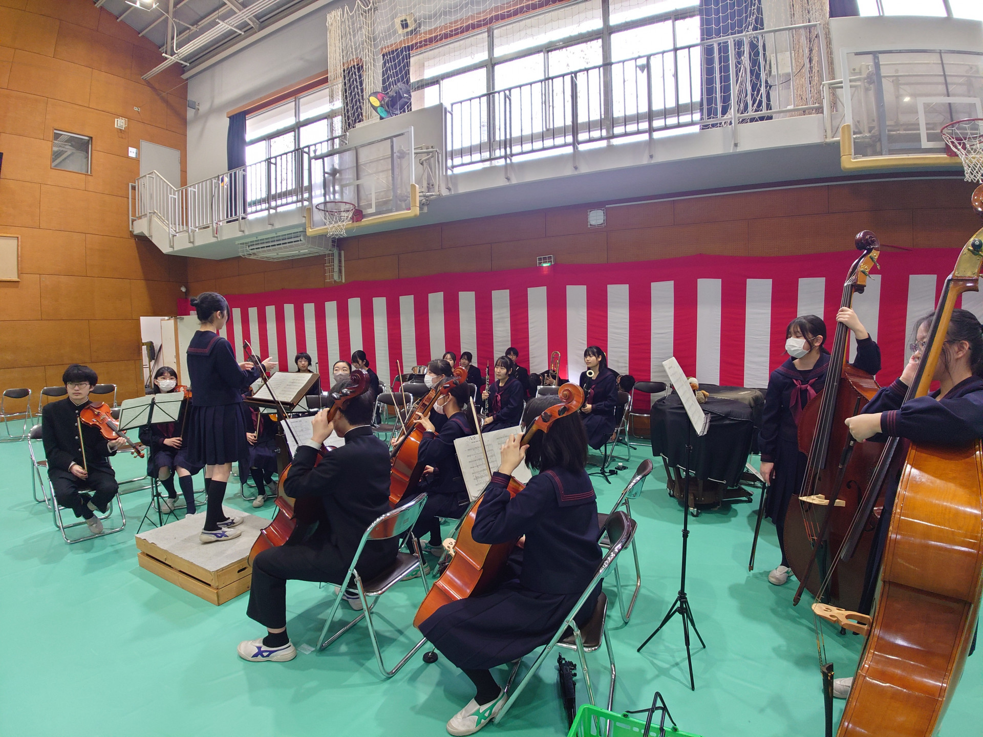 画像 (1)